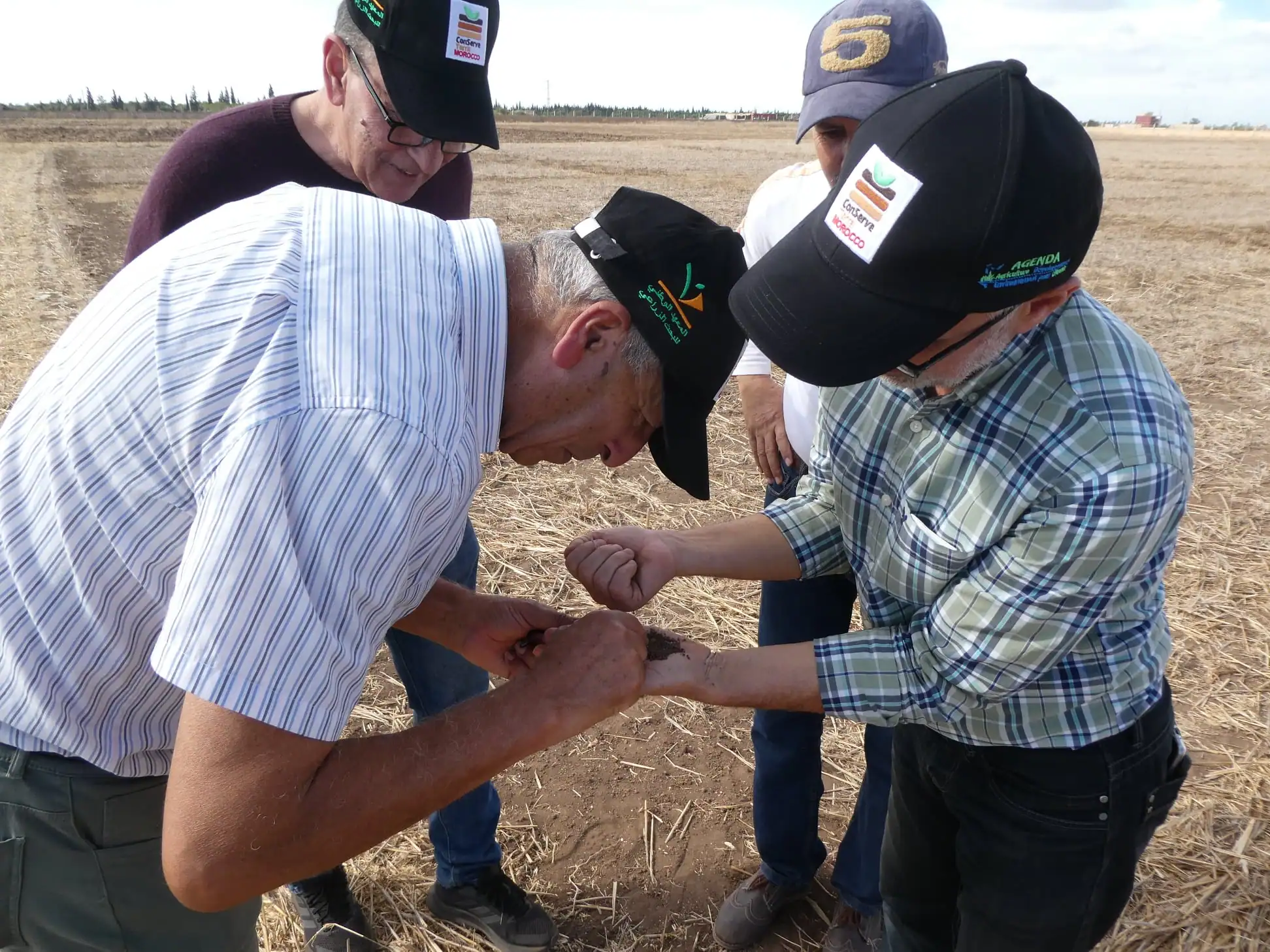 Farmers collaborating in a field